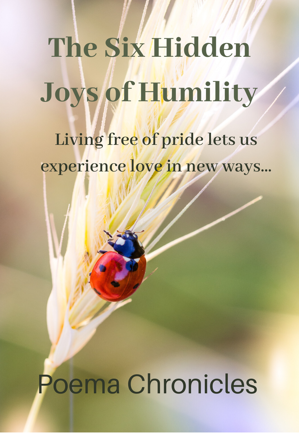 Humility: The Six Hidden Joys - Poema Chronicles