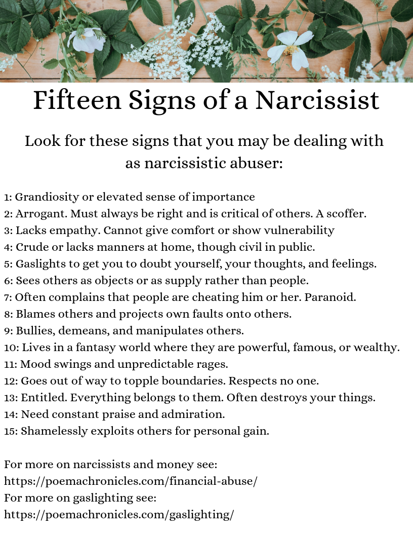 Fifteen Signs Of A Narcissist - Poema Chronicles