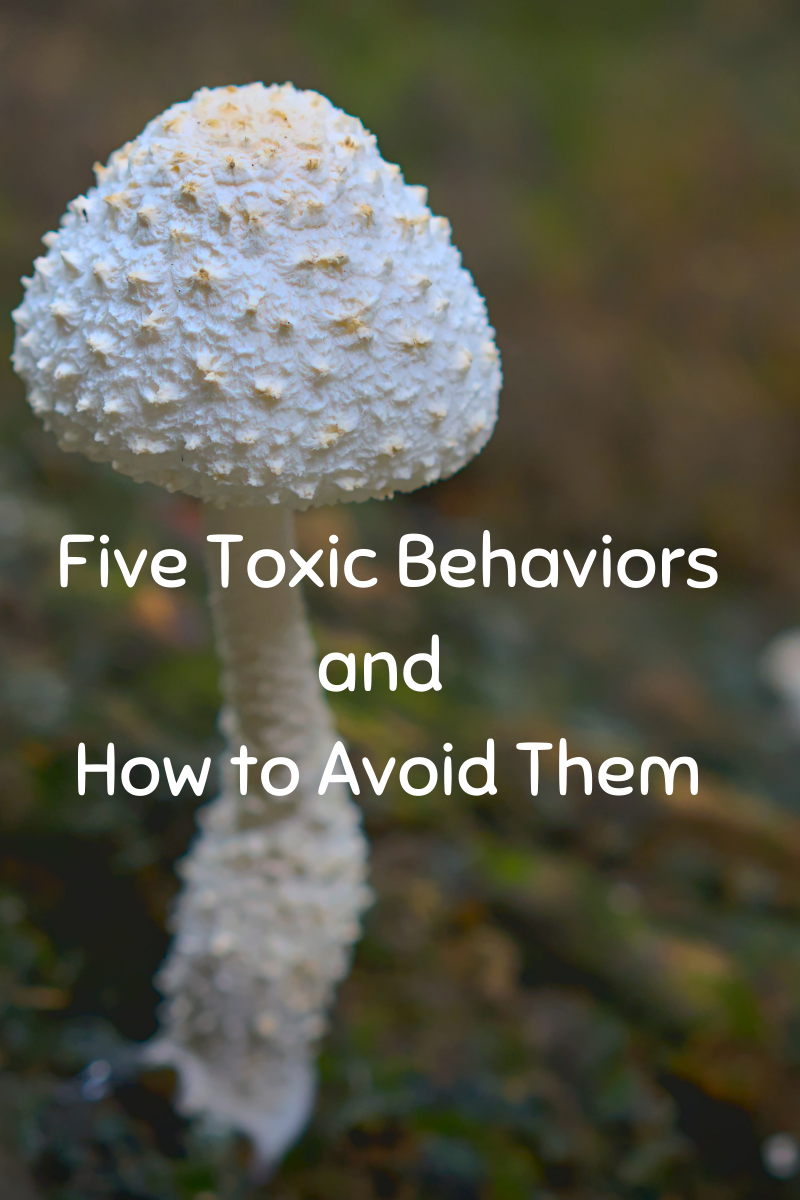 Toxic Behavior: 5 Common Types - Poema Chronicles